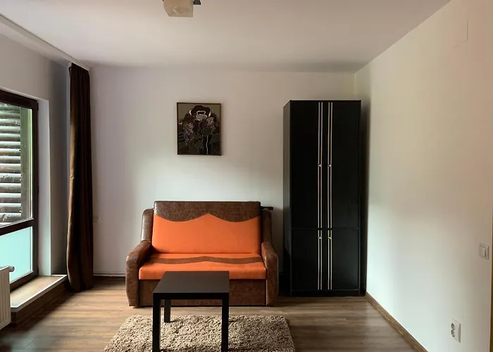 Belle View Apartment Sinaia