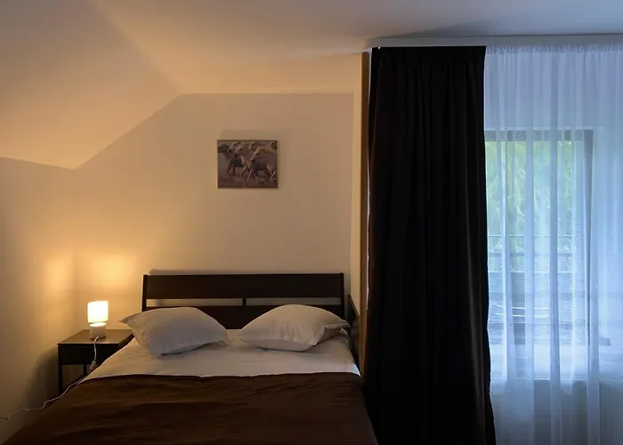 Belle View Apartment Sinaia