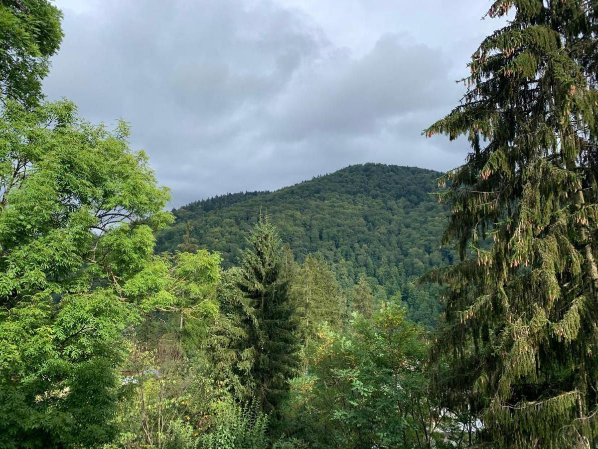 Belle View *