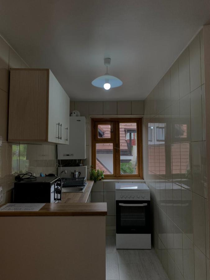 Apartment Belle View Sinaia