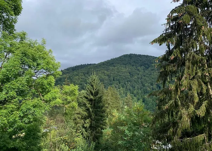 Belle View Apartment Sinaia