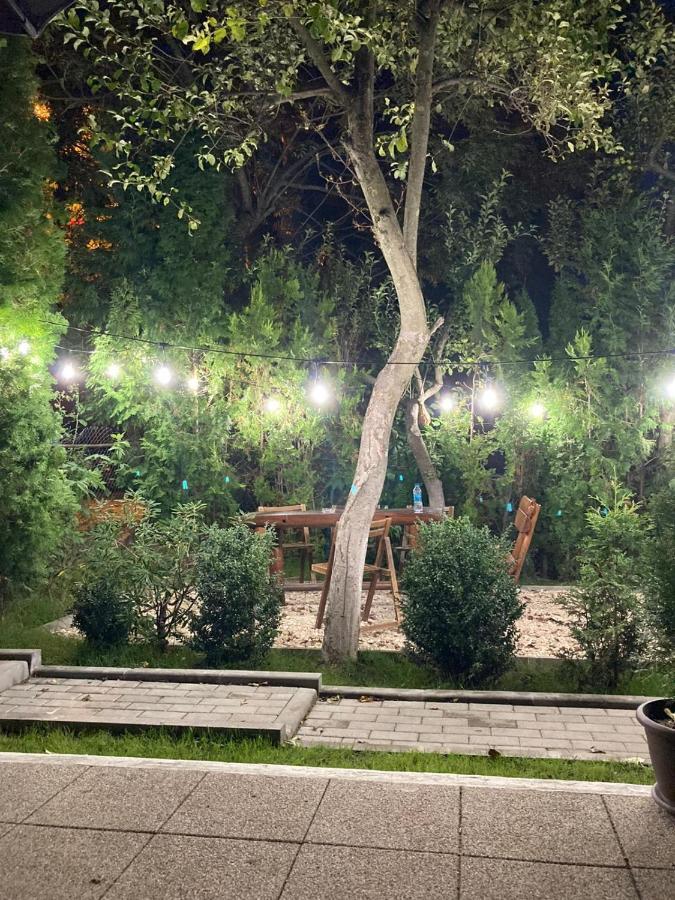 דירה Belle View